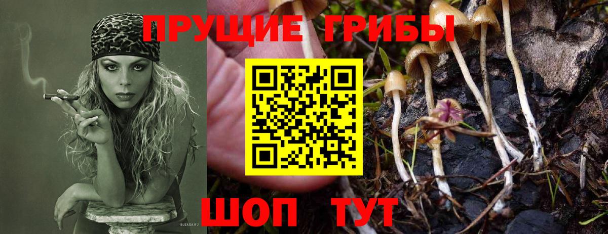 Псилоцибиновые грибы Magic Shrooms  Вход с VPN  где можно купить   Ачинск 