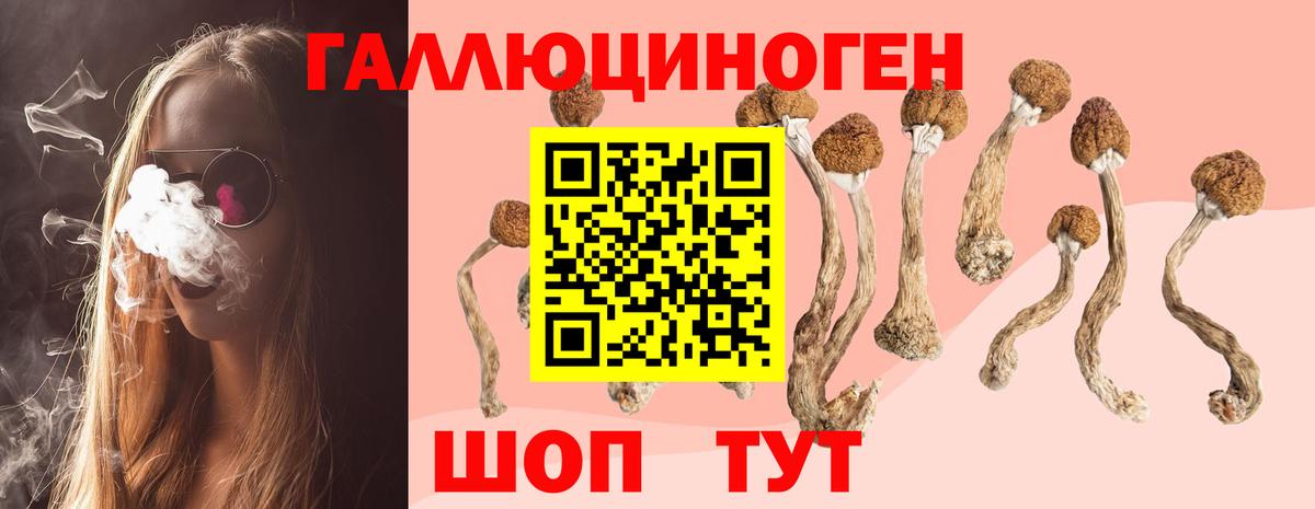 Галлюциногенные грибы GOLDEN TEACHER Ачинск